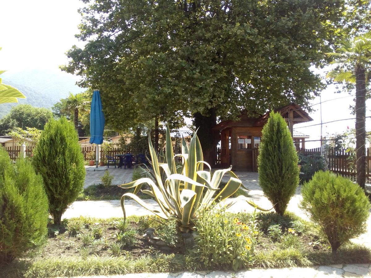 Старые Гагры Gagry Exterior photo